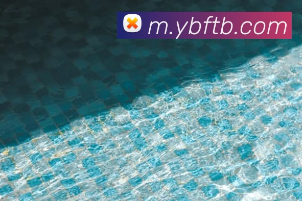 yabo亚博服务体系
